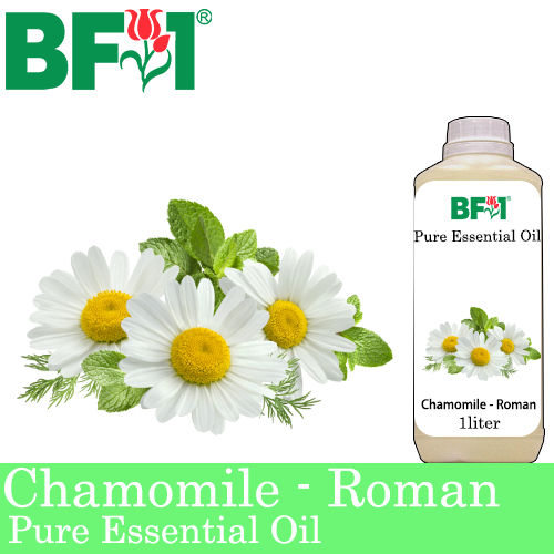 Pure Essential Oil (EO) - Chamomile - Roman Chamomile Essential Oil - 1L