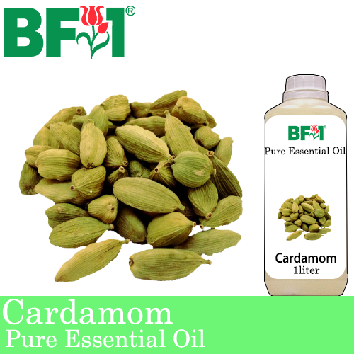 Pure Essential Oil (EO) - Cardamom Essential Oil - 1L
