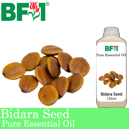 Pure Essential Oil (EO) - Bidara Seed ( Zizyphus Mauritiana ) Essential Oil - 1L