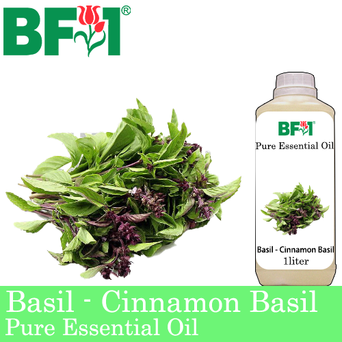 Pure Essential Oil (EO) - Basil - Cinnamon Basil ( Thai Basil ) Essential Oil - 1L