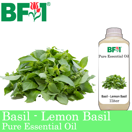 Pure Essential Oil (EO) - Basil - Lemon Basil ( Citriodorum Basil ) Essential Oil - 1L