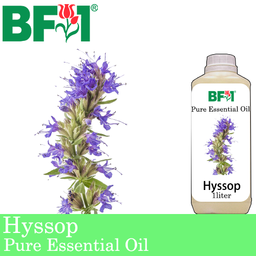 Pure Essential Oil (EO) - Hyssop Essential Oil - 1L