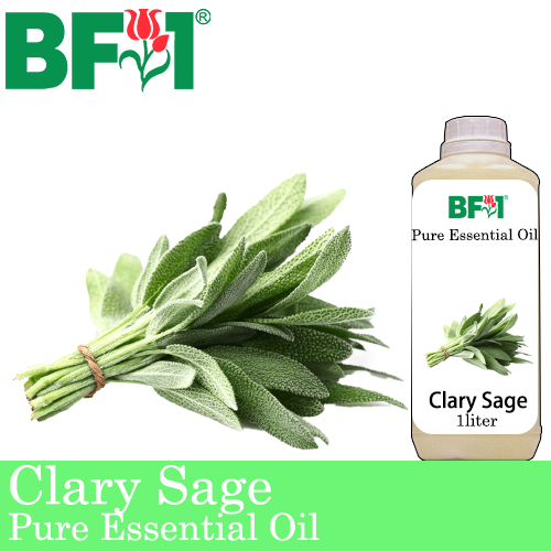 Pure Essential Oil (EO) - Clary Sage Essential Oil - 1L