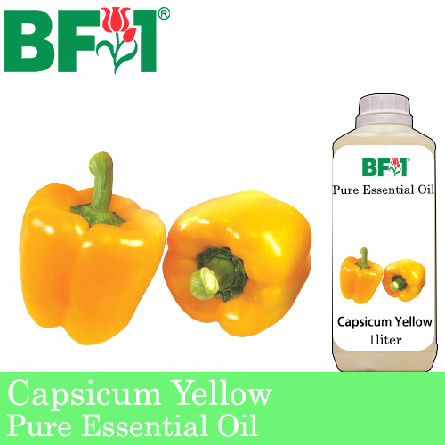 Pure Essential Oil (EO) - Capsicum Yellow Essential Oil - 1L