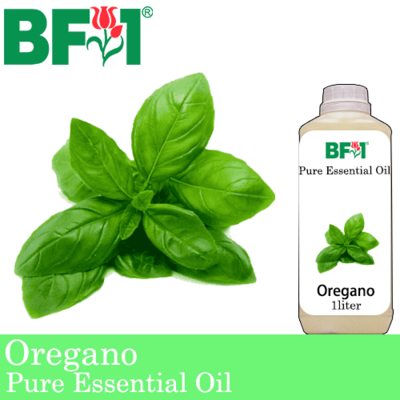 Pure Essential Oil (EO) - Oregano ( Origanum Vulgare ) Essential Oil - 1L