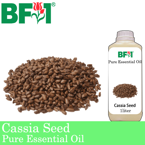 Pure Essential Oil (EO) - Cassia Seed Essential Oil - 1L