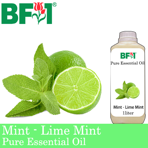 Pure Essential Oil (EO) - Mint - Lime Mint Essential Oil - 1L