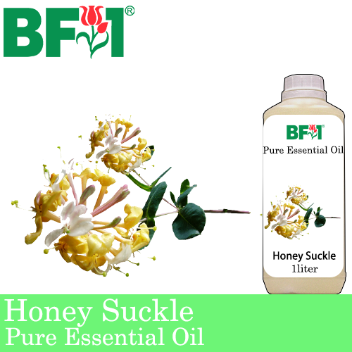 Pure Essential Oil (EO) - Honey Suckle Essential Oil - 1L