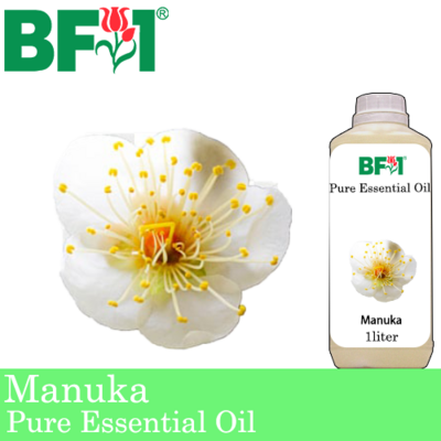 Pure Essential Oil (EO) - Manuka Essential Oil - 1L