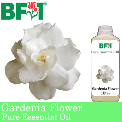 Pure Essential Oil (EO) - Gardenia Flower Essential Oil - 1L