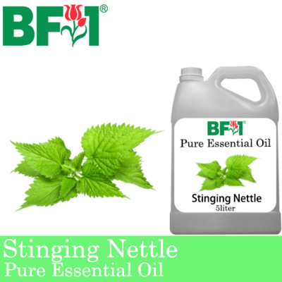 Pure Essential Oil (EO) - Stinging Nettle Essential Oil - 5L