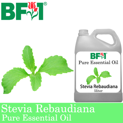 Pure Essential Oil (EO) - Stevia ( Stevia Rebaudiana ) Essential Oil - 5L