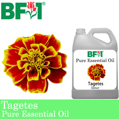 Pure Essential Oil (EO) - Tagetes Essential Oil - 5L