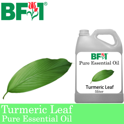 Pure Essential Oil (EO) - Turmeric Leaf Essential Oil - 5L