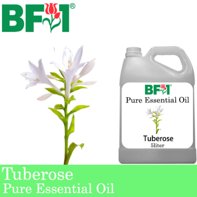 Pure Essential Oil (EO) - Tuberose Essential Oil - 5L