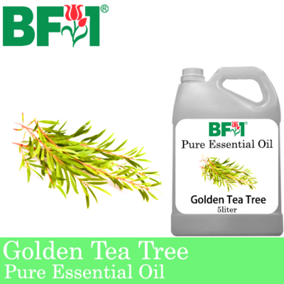 Pure Essential Oil (EO) - Tea Tree - Golden Tea Tree Essential Oil - 5L
