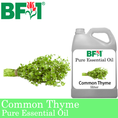 Pure Essential Oil (EO) - Thyme ( Common Thyme ) Essential Oil - 5L
