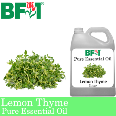 Pure Essential Oil (EO) - Thyme - Lemon Thyme Essential Oil - 5L
