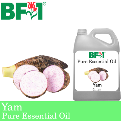 Pure Essential Oil (EO) - Yam Essential Oil - 5L