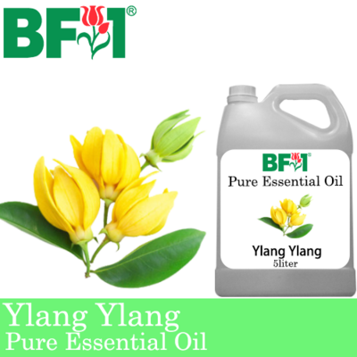 Pure Essential Oil (EO) - Ylang Ylang Essential Oil - 5L