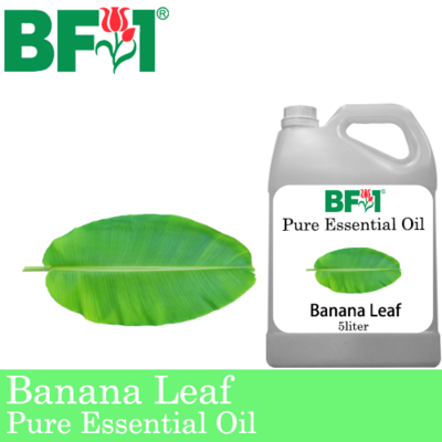 Pure Essential Oil (EO) - Banana Leaf Essential Oil - 5L