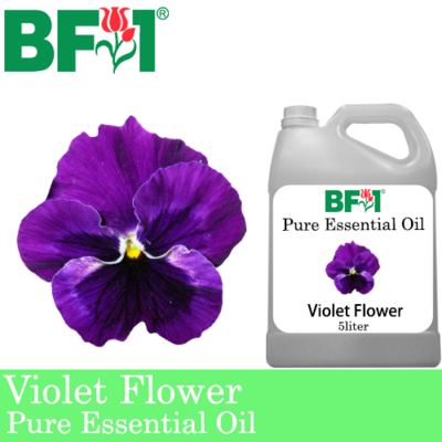 Pure Essential Oil (EO) - Violet Flower Essential Oil - 5L