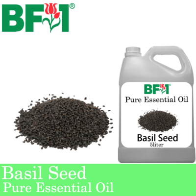 Pure Essential Oil (EO) - Basil Seed ( Ocimum Basilcum ) Essential Oil - 5L