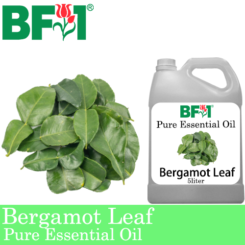 Pure Essential Oil (EO) - Bergamot Leaf Essential Oil - 5L