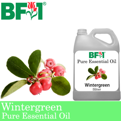 Pure Essential Oil (EO) - Wintergreen Essential Oil - 5L