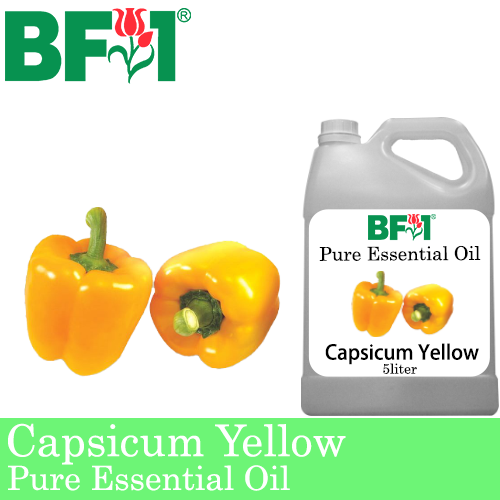 Pure Essential Oil (EO) - Capsicum Yellow Essential Oil - 5L