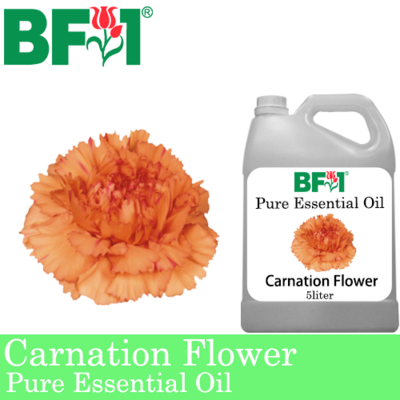 Pure Essential Oil (EO) - Carnation Flower Essential Oil - 5L