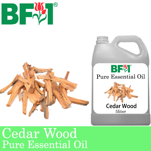 Pure Essential Oil (EO) - Cedar Wood Essential Oil - 5L