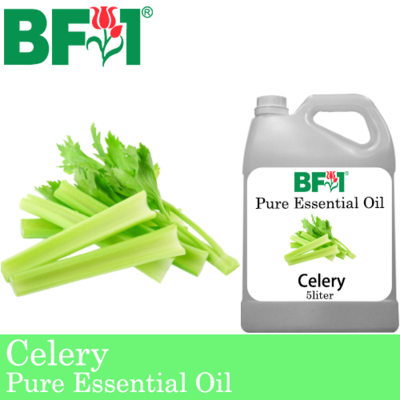Pure Essential Oil (EO) - Celery Essential Oil - 5L