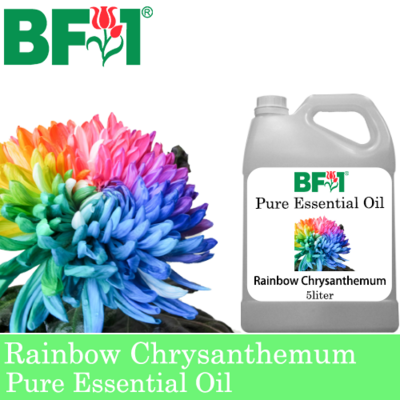 Pure Essential Oil (EO) - Chrysanthemum - Rainbow Chrysanthemum Essential Oil - 5L