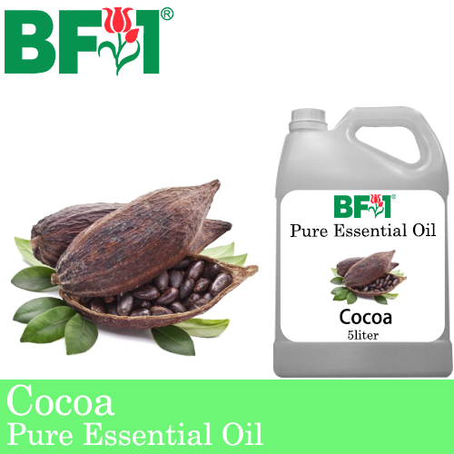 Pure Essential Oil (EO) - Cocoa Essential Oil - 5L