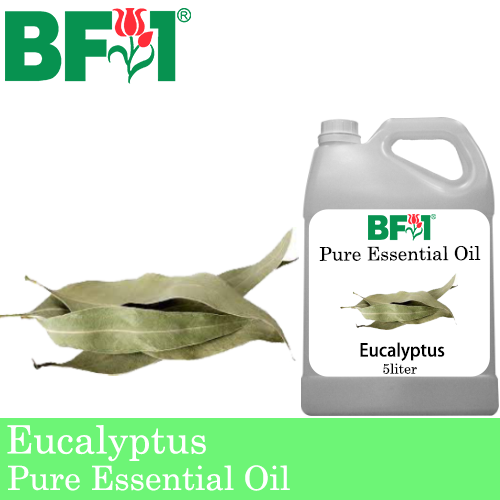 Pure Essential Oil (EO) - Eucalyptus Essential Oil - 5L
