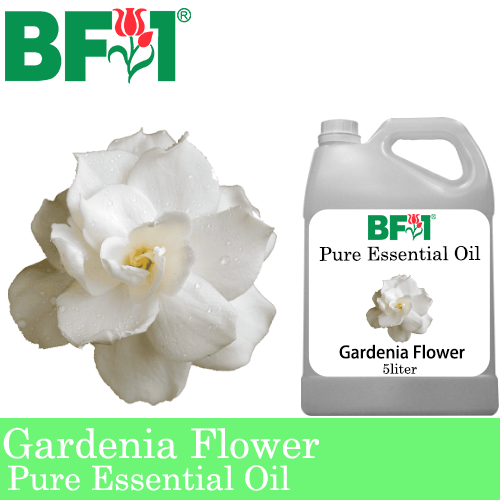 Pure Essential Oil (EO) - Gardenia Flower Essential Oil - 5L