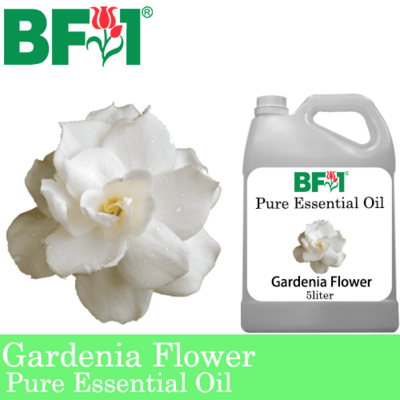 Pure Essential Oil (EO) - Gardenia Flower Essential Oil - 5L