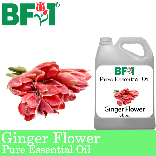 Pure Essential Oil (EO) - Ginger Flower Essential Oil - 5L