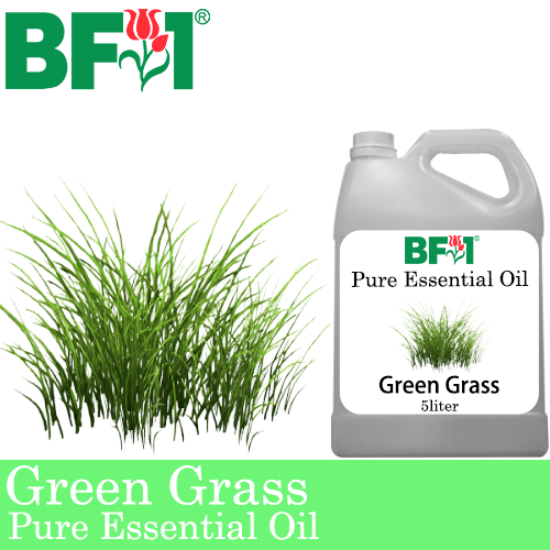Pure Essential Oil (EO) - Green Grass Essential Oil - 5L