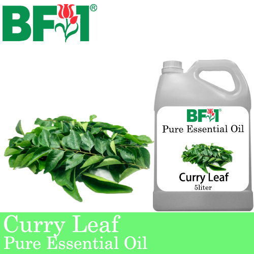 Pure Essential Oil (EO) - Curry Leaf Essential Oil - 5L