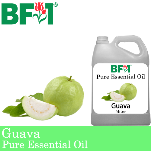 Pure Essential Oil (EO) - Guava Essential Oil - 5L