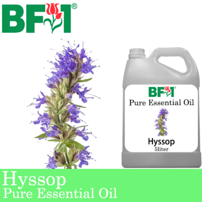 Pure Essential Oil (EO) - Hyssop Essential Oil - 5L