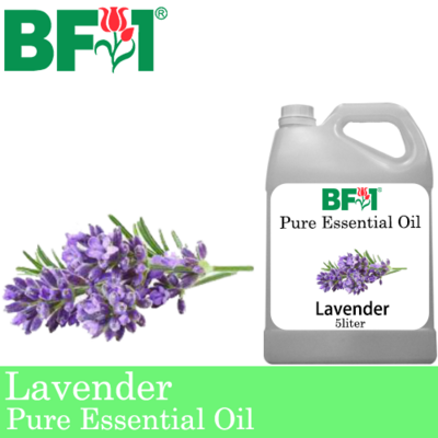 Pure Essential Oil (EO) - Lavender Essential Oil - 5L