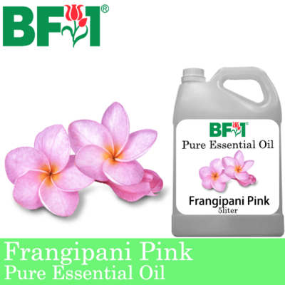 Pure Essential Oil (EO) - Frangipani Pink Essential Oil - 5L