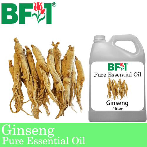 Pure Essential Oil (EO) - Ginseng Essential Oil - 5L