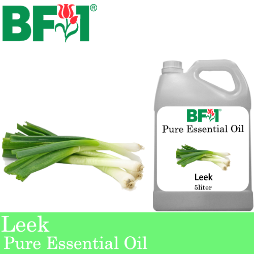 Pure Essential Oil (EO) - Leek Essential Oil - 5L