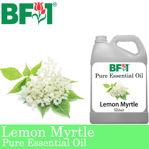 Pure Essential Oil (EO) - Lemon Myrtle Aromatic Essential Oil - 5L