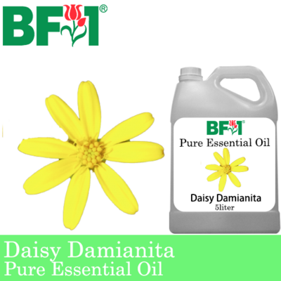 Pure Essential Oil (EO) - Daisy Damianita ( Chrysactinia Mexicana ) Essential Oil - 5L