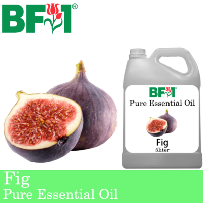 Pure Essential Oil (EO) - Fig Essential Oil - 5L
